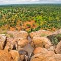 Burkina Faso's Ambitious Experiment in Participatory Land Reform
