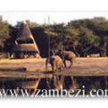 The Hide Safari Camp - Hwange, Zimbabwe