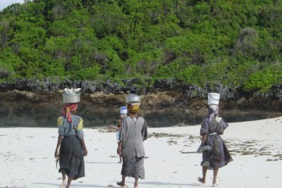 Women collecting shells along the beach of Zanzibar East Coast (file photo).