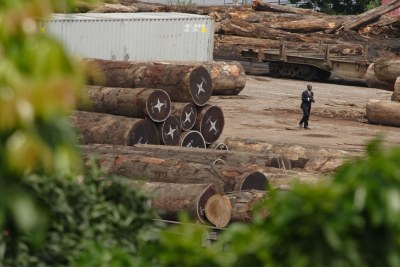 File photo: Fast paced illegal logging in Madagascar is causing environmental damage and contributing to climate change.
