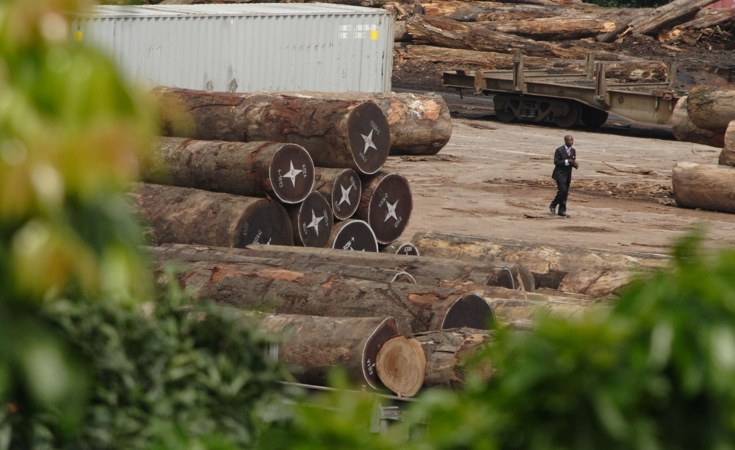 Madagascar: Illegal Logging Exacerbates Climate Change - allAfrica.com