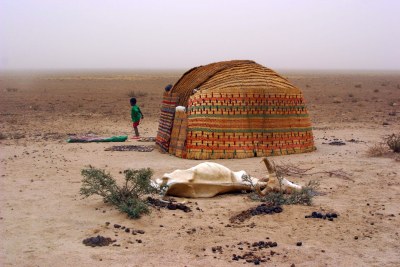 A high rate of livestock deaths is reported in the Ogaden region due to drought and other factors.