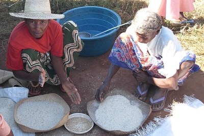(Photo d'archives) - Des femmes malgaches au travail