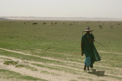 Climate change has meant an increased frequency of drought cycles across the Sahel (file photo).