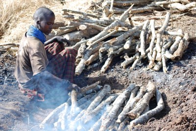 Burning charcoal (file photo): Charcoal is reportedly the main financial source of militia group Al Shabaab.