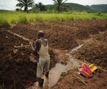 Local Irrigation Solutions Boost Yields for African Farmers