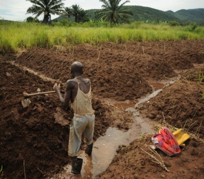 Local Irrigation Solutions Boost Yields for African Farmers