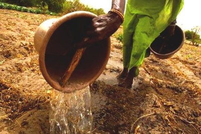 A woman watering soil to prepare the ground before planting cabbage in Thiaye, Senegal