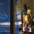 World Malaria Report Inconclusive on Africa