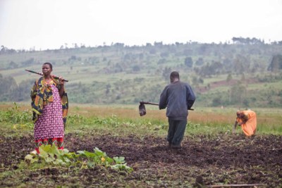 Farming in Burundi.