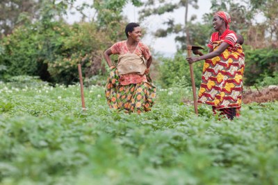 Farmers in Burundi.
