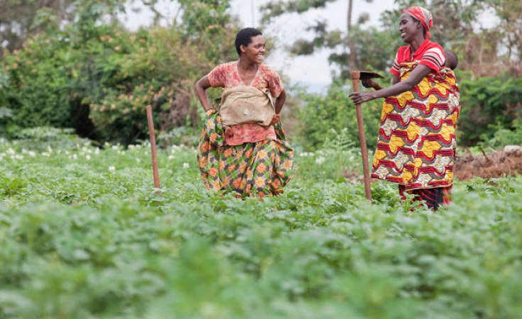 CongoKinshasa La RDC finance la campagne agricole en 2013 à hauteur
