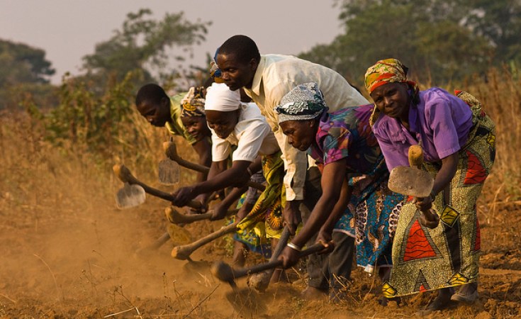 Malawi U S Govt Pledges U S 500 Million Towards Agriculture Sector In Malawi Allafrica Com