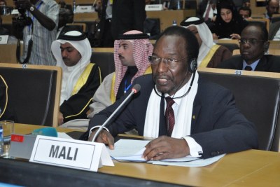 (Photo d'archives) - Le président Diounda Traoré à la Conférence des donateurs  pour le  Mali, à Addis Abéba, en Ethiopie, le 29 Janvier 2013