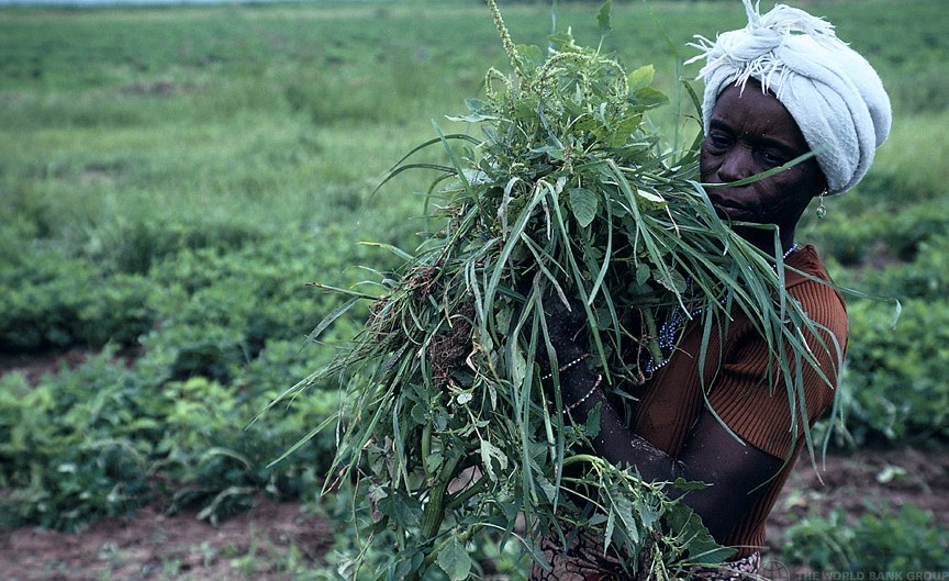 PhotoEssay » 15 Most LandGrabbed African Nations