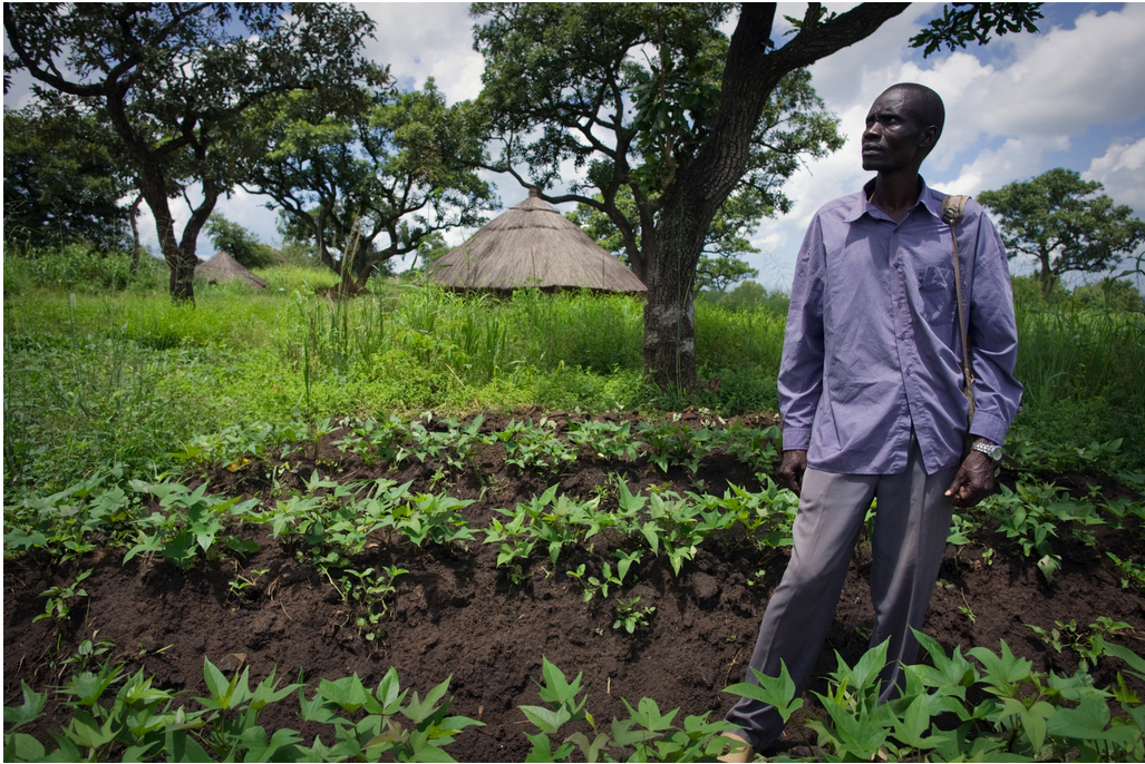 PhotoEssay » Agriculture in South Sudan