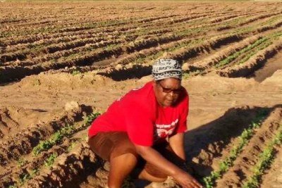 Former Vice President Joice Mujuru seen farming at her farm.