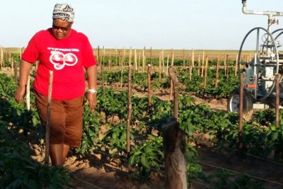 Former Vice President Joice Mujuru seen walking through crops at a farm.