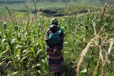 A maize farmer and her child in Lesotho. (File Photo)