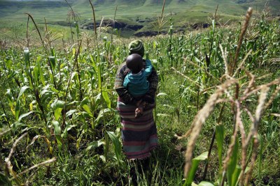 A maize farmer and her child in Lesotho.