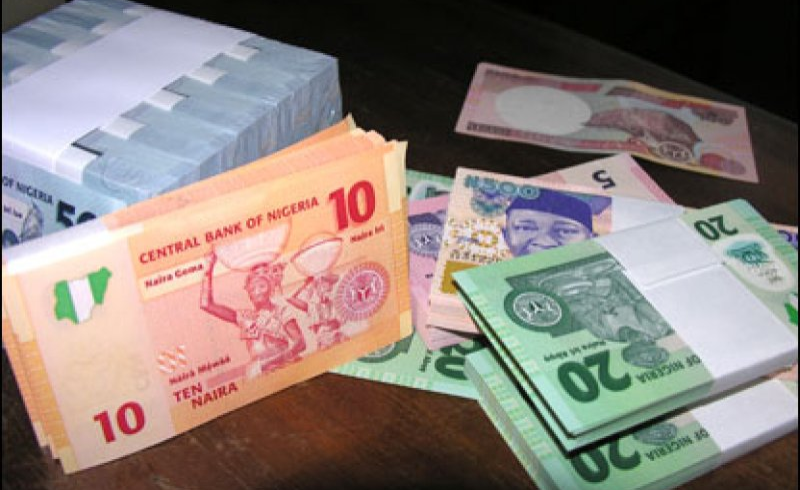 Nigeria Cattle Business In Trouble As Naira Weakens Against Nigeria Cattle Business In Trouble As Naira Weakens Against Cameroon Cfa Allafrica