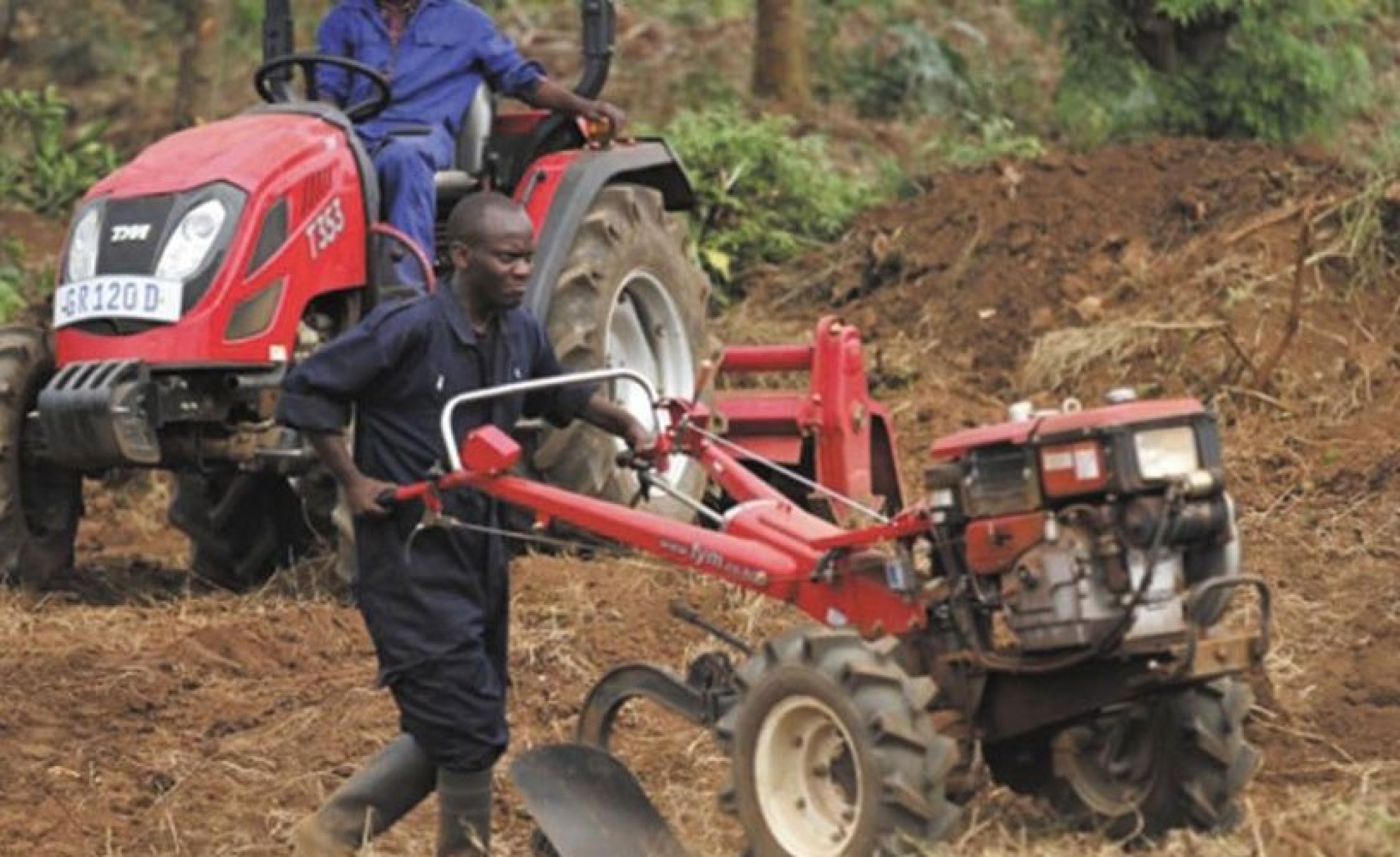 Africa AGRA Urges Farmers to Adopt Modern Technology