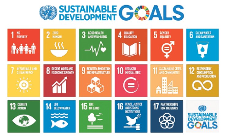 Tanzania: Can SDGs Achieve What MDGs Failed to Attain ...