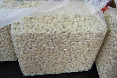 Cashew ready for exports.
