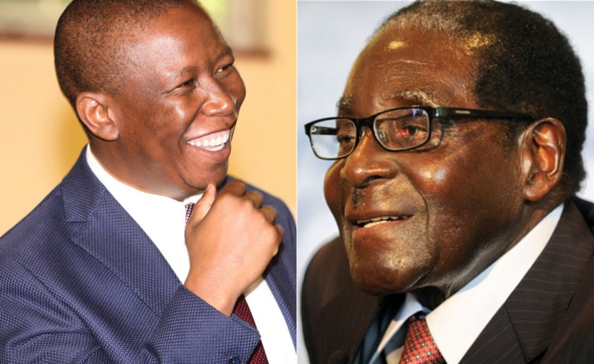 Who Is Malema Mugabe Asks Allafrica Com