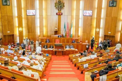 The Nigerian Senate (file photo).