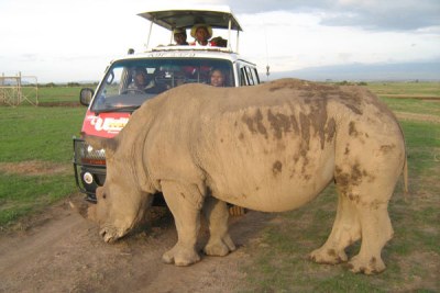 Tourists take a closer look at a northern white rhino at the Ol Pejeta Conservancy (file photo).