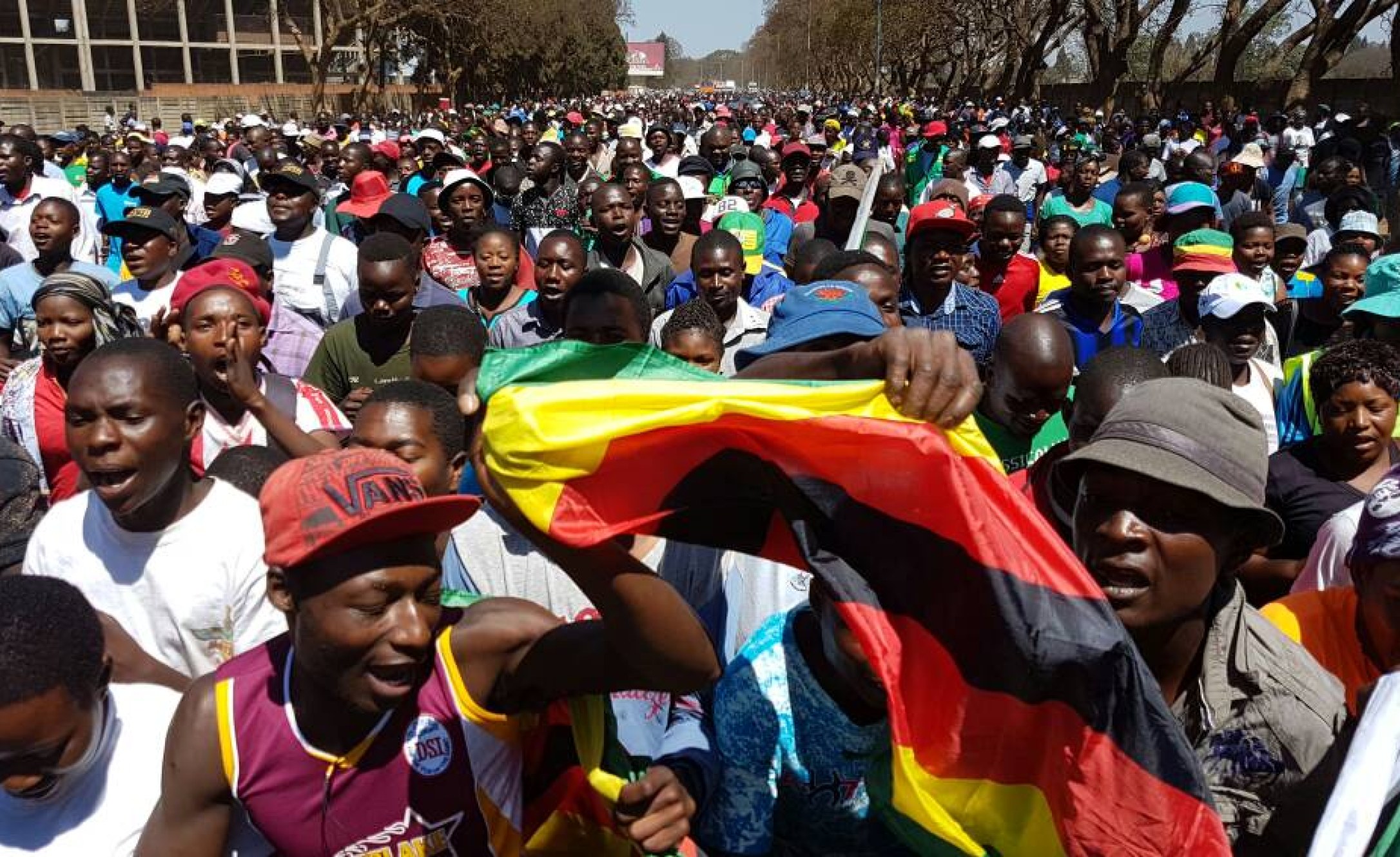 Africa Four Things Zimbabwe Can Do to Recover From the Mugabe Era