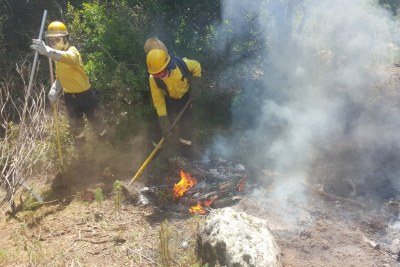 Volunteers battle the blaze in Camps Bay.
