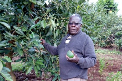 Gideon Gitonga tends his avocado trees on his two-acre farm in Mugambone village in Meru, Kenya, July 4, 2018.