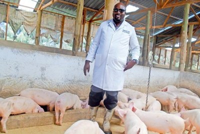 Michael Koome Mburugu, in one of the pig pens in his farm in Meru County (file photo).