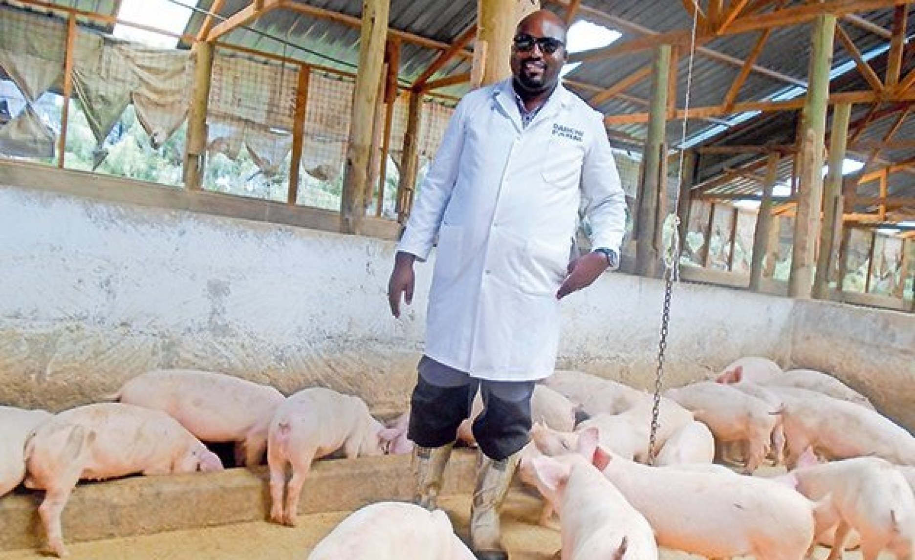 Kenya How Couple Runs a 2,700 Pig Empire