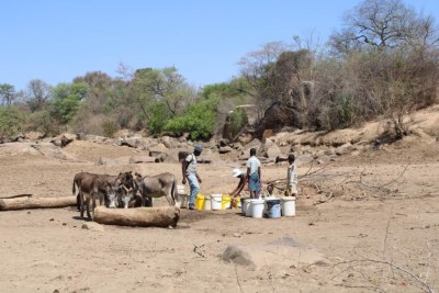 Farmers draw water for their animals from a hand-dug shallow well in a dry riverbed in Zimbabwe's western Nkayi district (file photo).