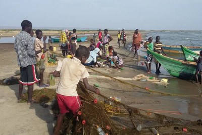 Members of Naremiet Beach Management Unit at work supplying people of Kalokol with fresh fish to buy.
.
