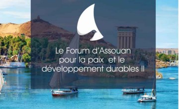 Forum d'Assouan II - RÃ©ussir la reprise Ã©conomique post Covid-19 en Afrique