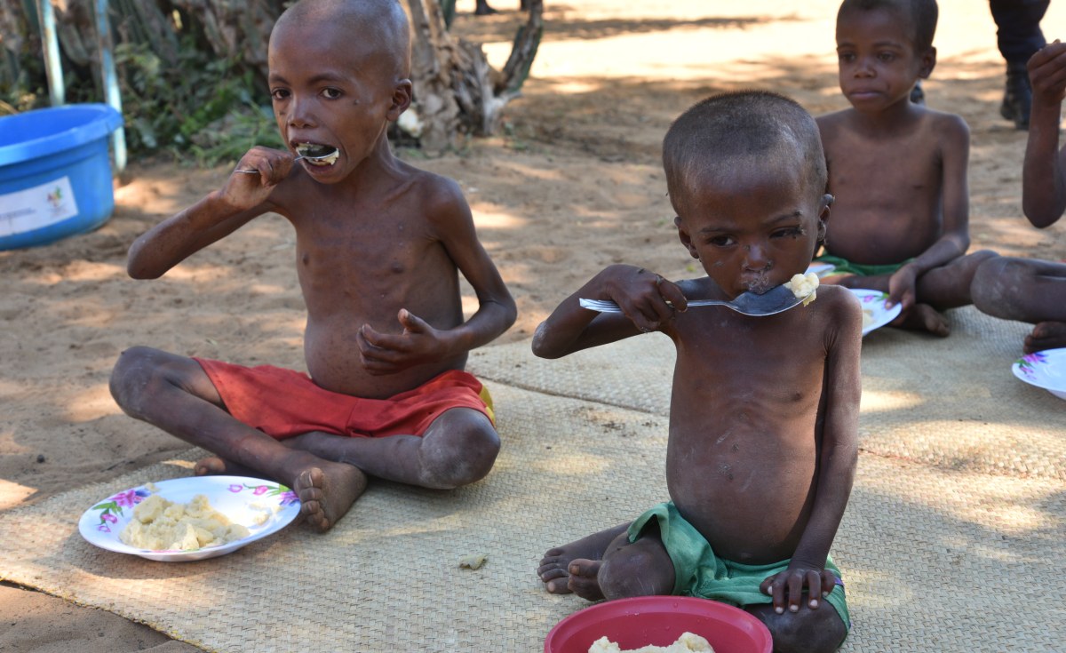 Madagascar Faces Famine in Worst Drought in 40 Years - allAfrica.com