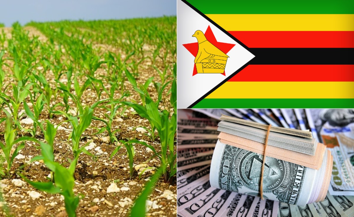 Zimbabwe: Covid-19 Plunges 50% of Zimbabweans Into Extreme Poverty - World Bank