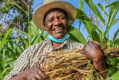 Reginald Omulo is a farmer who switched from farming tobacco to beans, in Kenya (file photo).