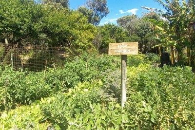 Food garden at the Rocklands Abundance Center in Mitchell's Plein, Cape Town.