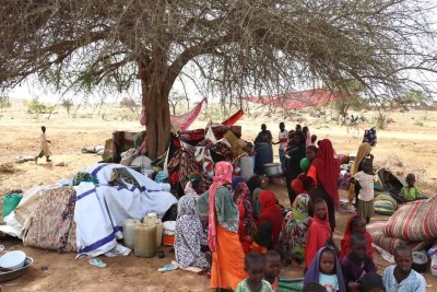 Sudanese refugees shelter under a tree in a village 5 kilometres across the border in neighbouring Chad
