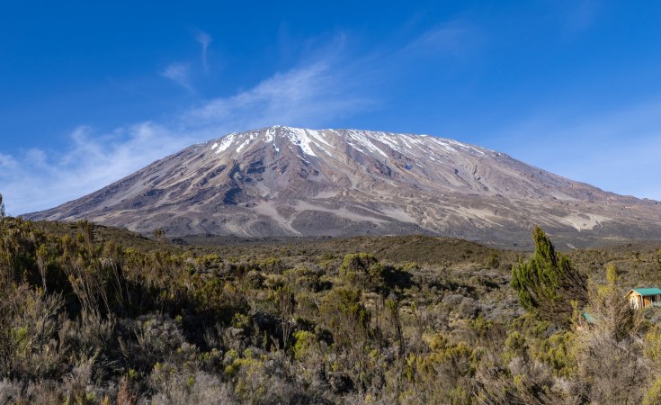 Everything You Need to Know About Kilimanjaro Trekking - allAfrica.com