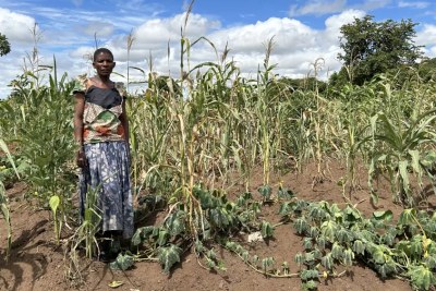 Awalewale Samuel cannot pay back her loans after El Niño ruined her crops.
