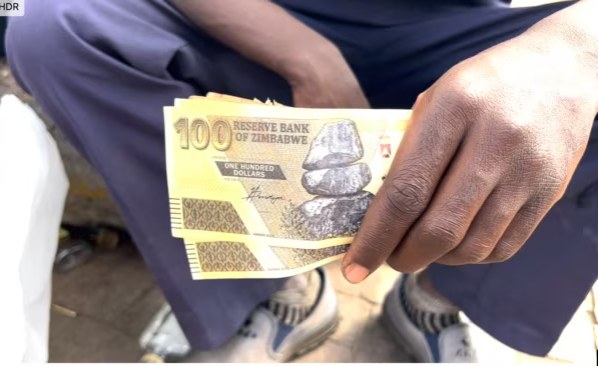 Zimbabwean Officials Concerned About Decline of New Currency