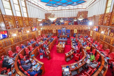 Senate Session.