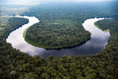 Aerial view of Monboyo River and peatland forest of Salonga National Park south-east of Mbandaka, Democratic Republic of the Congo. The most carbon-rich tropical region in the world is estimated to store the equivalent of three years’ worth of total global fossil fuel.